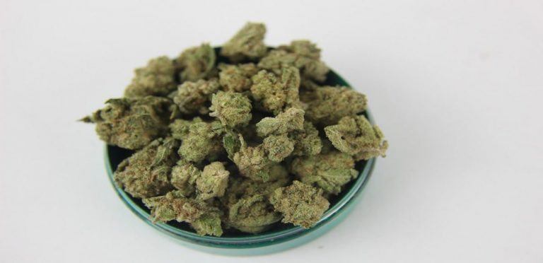 Bowl of Buds