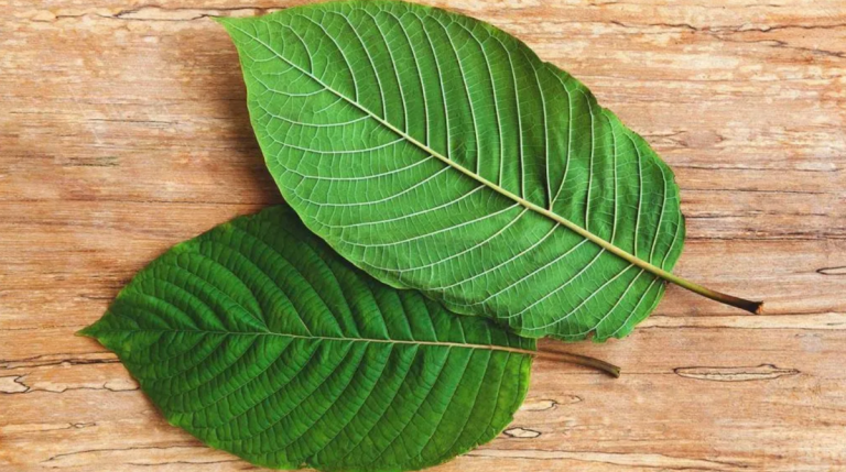 kratom