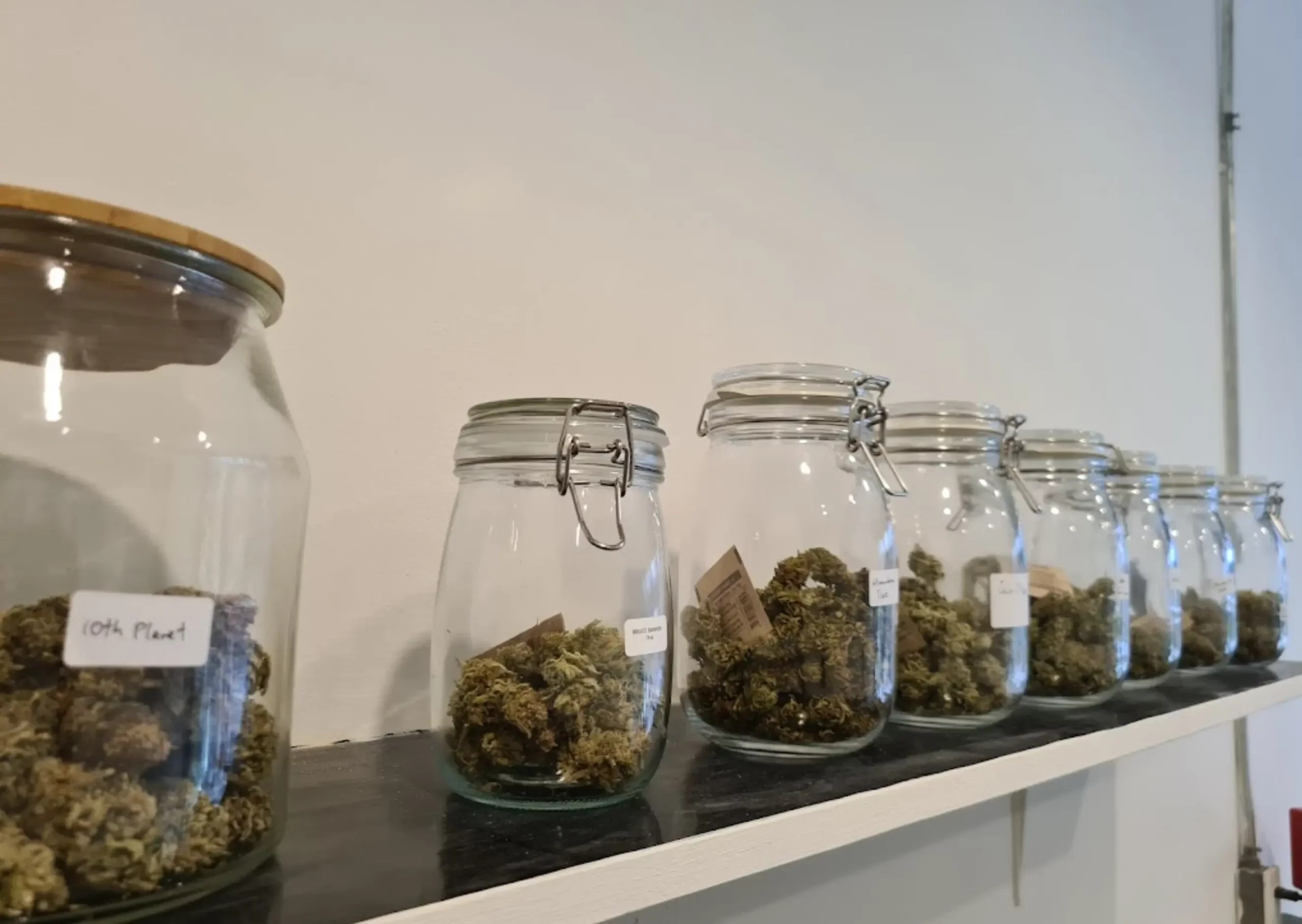Alchemi Botanics Cannabis scaled