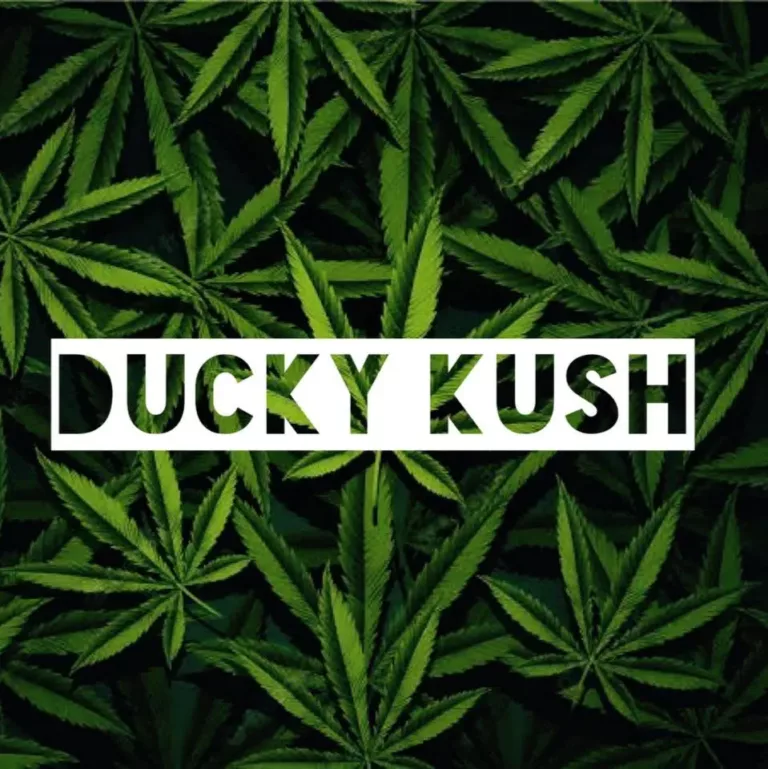 duxky kush 1 768x769