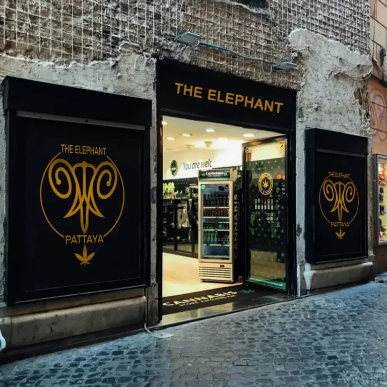 the elephant 1 768x768