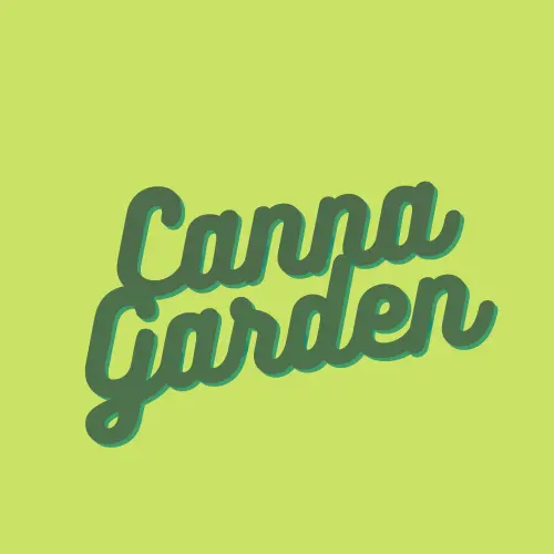 canna garden