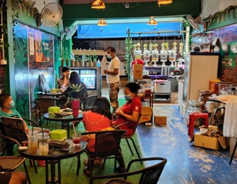 pattaya cannabis cafe 768x595