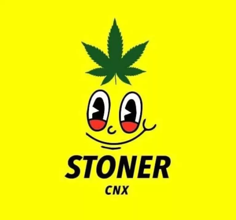 stoner cnx 768x715