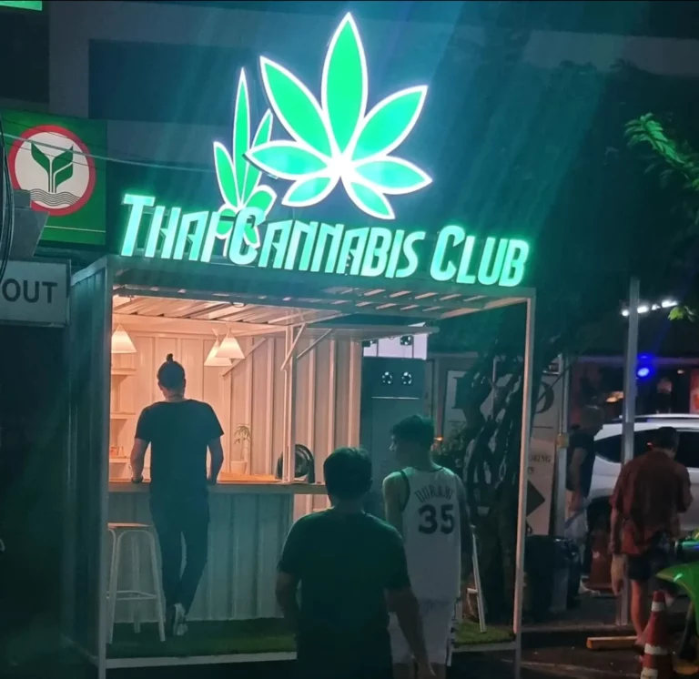 thai cannabis club 768x746