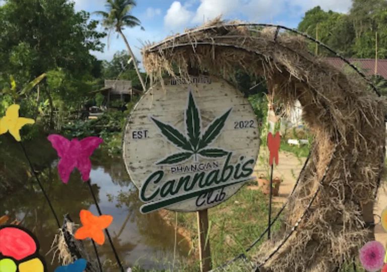 Phangan Cannabis Club 768x539