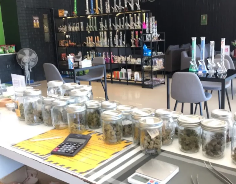 cannabis shop 768x599