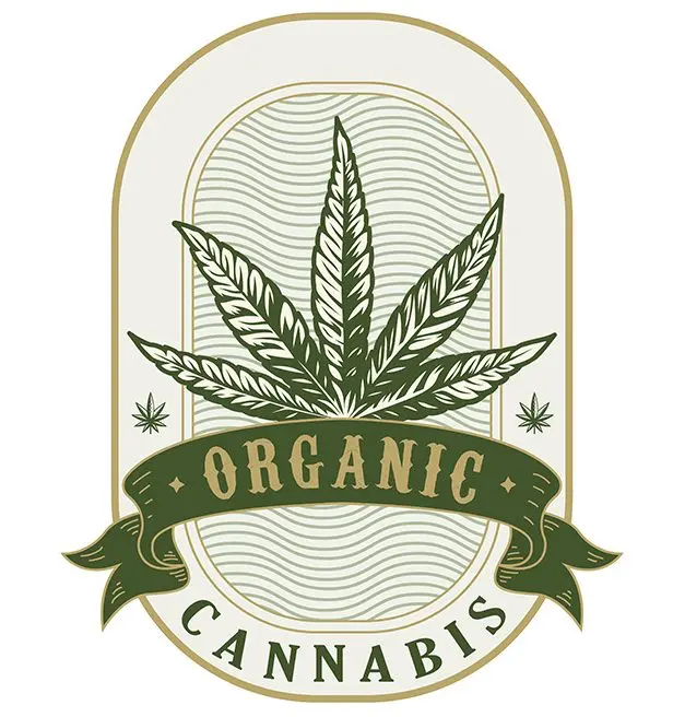 organic cannabis