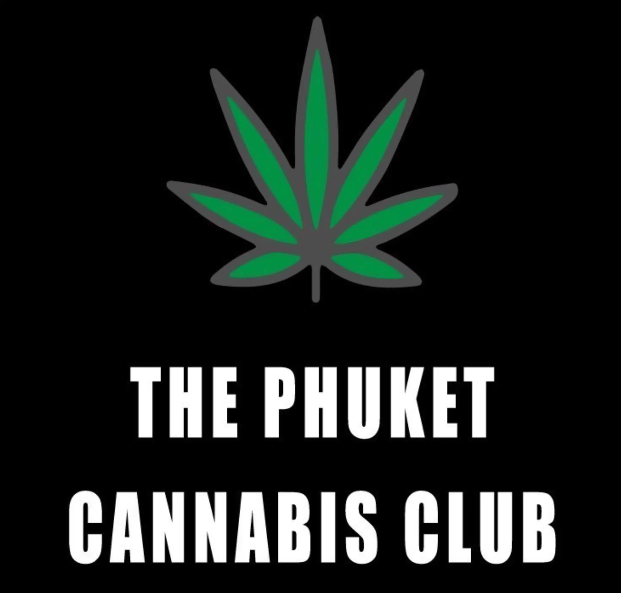 phuket cannabis club 2