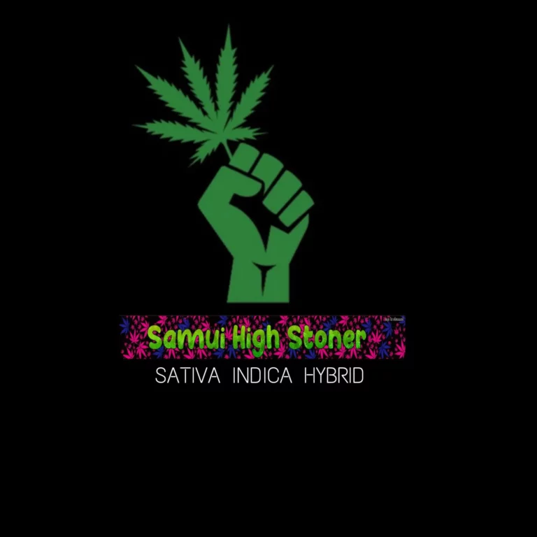samui high stoner 768x768