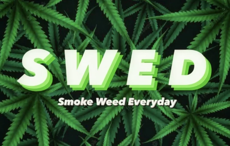 swed 768x489