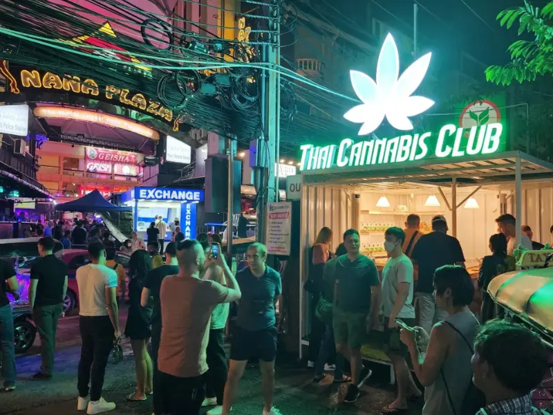 thailand cannabis club