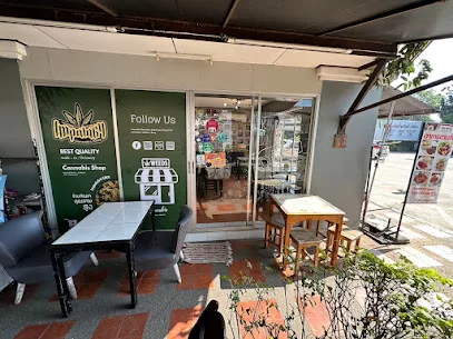 impala64 cannabis dispensary shop kad farang jpg 1