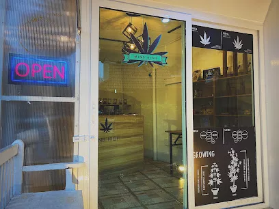 mind high cannabis shop jpg 1