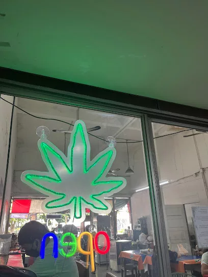 near me cannabis dispensary chiangmai  jpg 1
