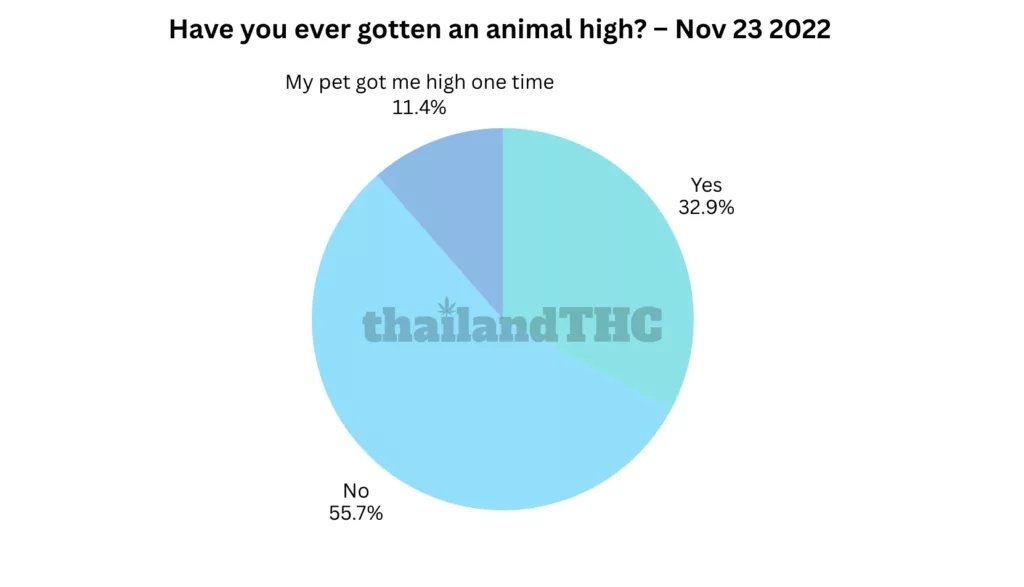 Have you ever gotten an animal high?