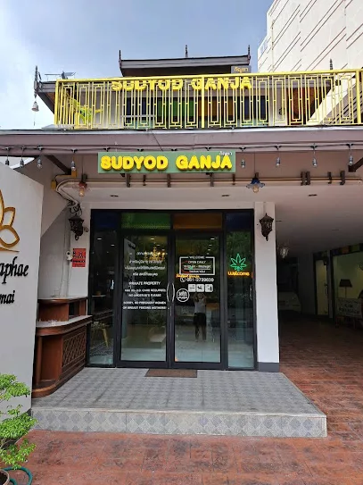 sudyod ganja cnx cannabis shop jpg 1