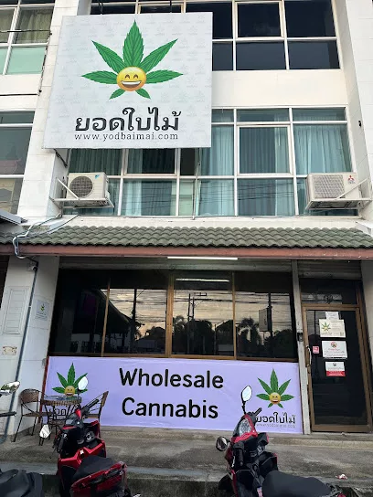 yodbaimai    exotic wholesale cannabis weed  jpg